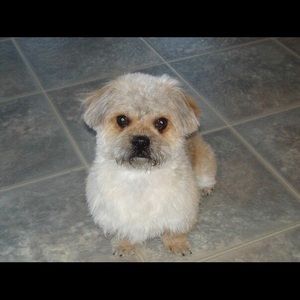 Meet your Posher, Stella